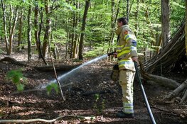 Bosbrand blijkt kampvuur