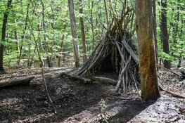 Bosbrand blijkt kampvuur