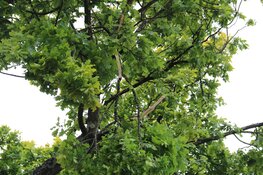 Freesmachine zorgt voor gevaarlijke situatie in Bussum