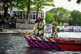 Grote boom in Hilversum waait om door harde wind