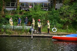Grote boom in Hilversum waait om door harde wind