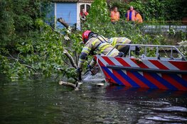 Grote boom in Hilversum waait om door harde wind