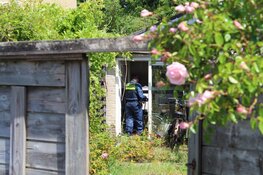 Hennepplantage gevonden na brand in woning