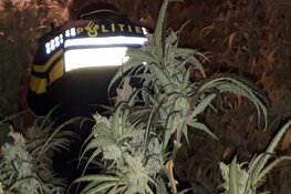 Al jaren werkende hennepplantage opgerold in Hilversumse straat