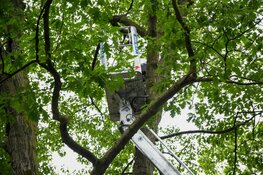 Persoon vast in hoogwerker