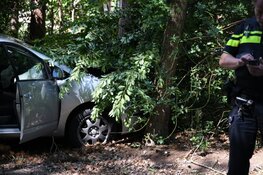 Automobilist botst tegen boom