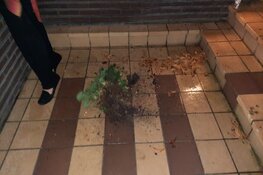 Brandje bij Hilversumse raadhuis snel onder controle