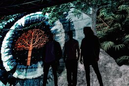 De Tuin van 2020 in Hilversum