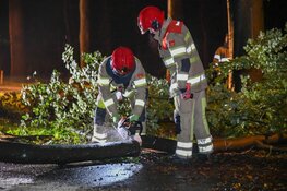 Meters lange tak breekt af in Hilversum