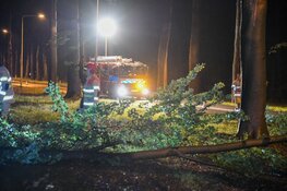 Meters lange tak breekt af in Hilversum