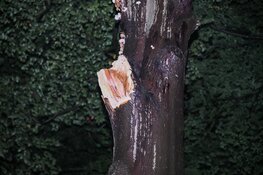 Meters lange tak breekt af in Hilversum