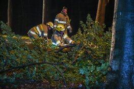 Meters lange tak breekt af in Hilversum