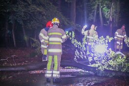 Meters lange tak breekt af in Hilversum