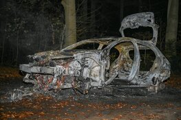 Auto volledig gestript en in brand gestoken