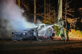 Auto volledig gestript en in brand gestoken