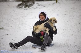 Winterse zondag in beeld