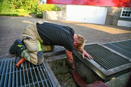 Eendje verstrikt geraakt in afwateringsput Loosdrecht