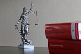 Twee nieuwe verdachten aangehouden voor gewelddadigheden Mallorca