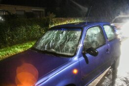 Auto loopt schade op door omgewaaide boom