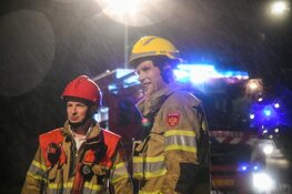 Auto loopt schade op door omgewaaide boom